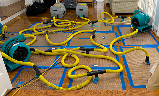 Professional Water Damage Restoration technician working in Ashland, WI